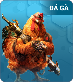 đá gà shbe